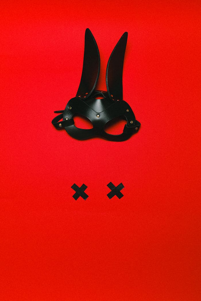 Services Conceptual image of a black leather rabbit mask on a bright red background, symbolizing mystery and allure.